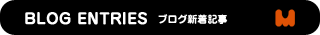 BLOG ENTRIES�@�u���O�V���L��